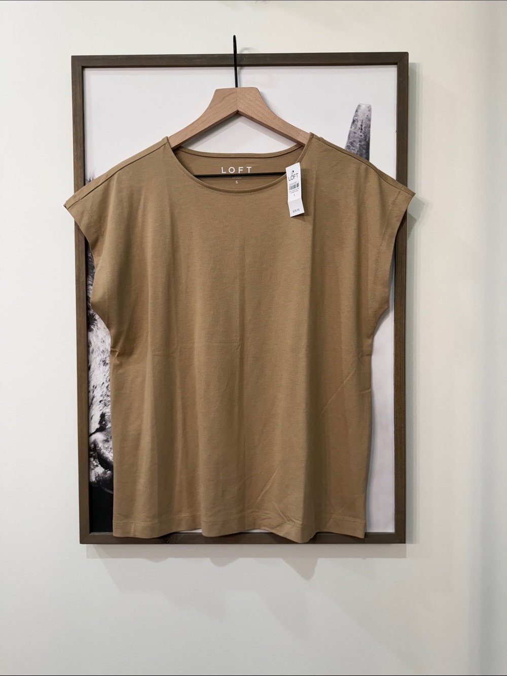 NWT! LOFT T-Shirt